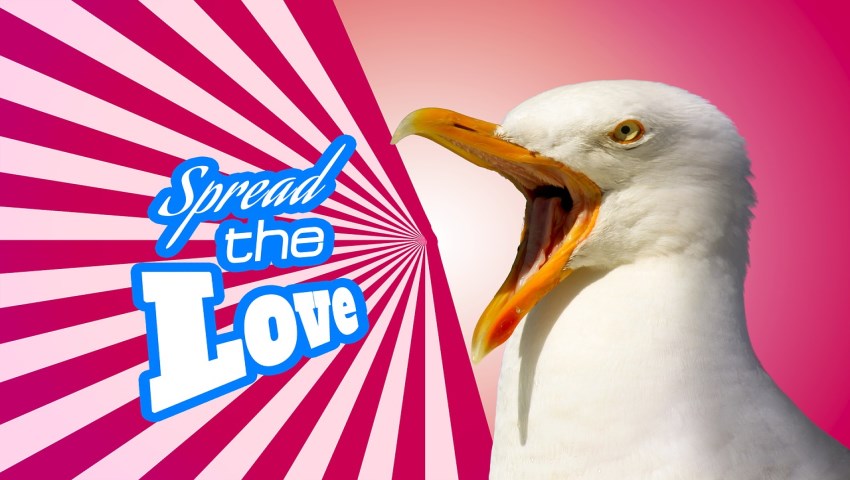Promote Tweet Spread The Love Promote Tweet Spread The Love