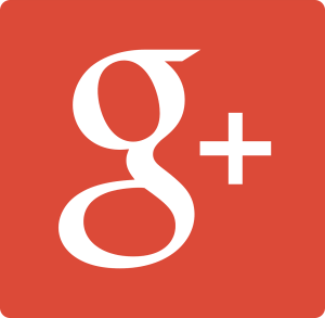 Google Plus Business Services Google Plus Business Services